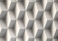 灰色のColroによって3Dは取り外し可能な壁紙3D効果の幾何学的な現代壁紙が家へ帰ります